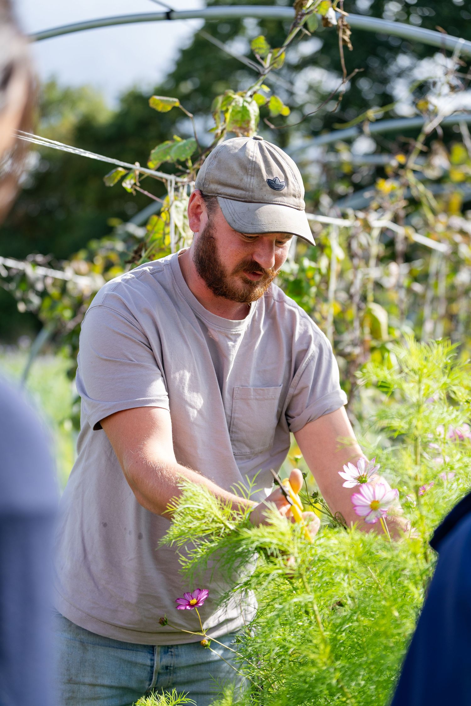 A man doing some gardening