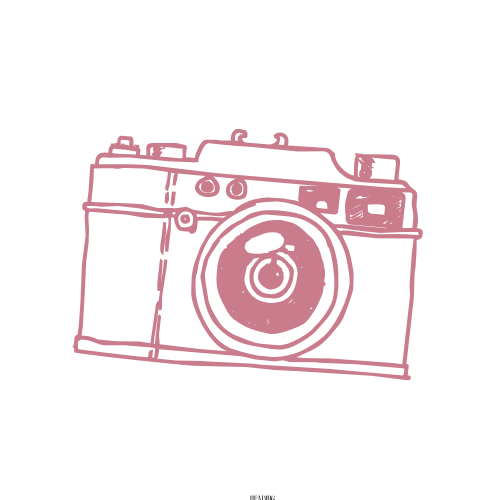 Decorative banner pattern of vintage style rangefinder cameras in pink outline on white background.