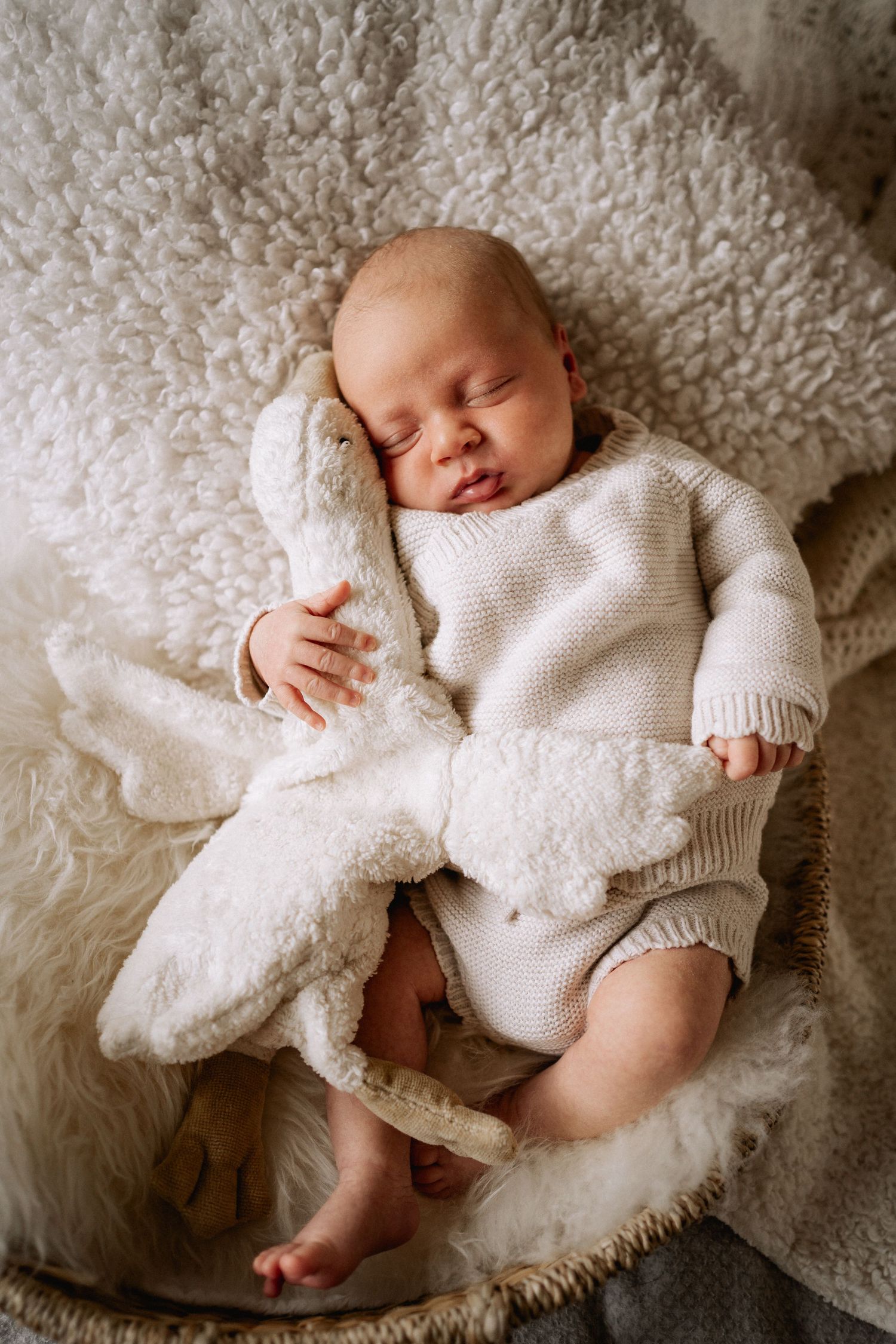 Newborn baby dressed in a cute knitted outfit, sleeping and hugging a cuddly toy on beige and cream blankets and cushions at home in Surrey