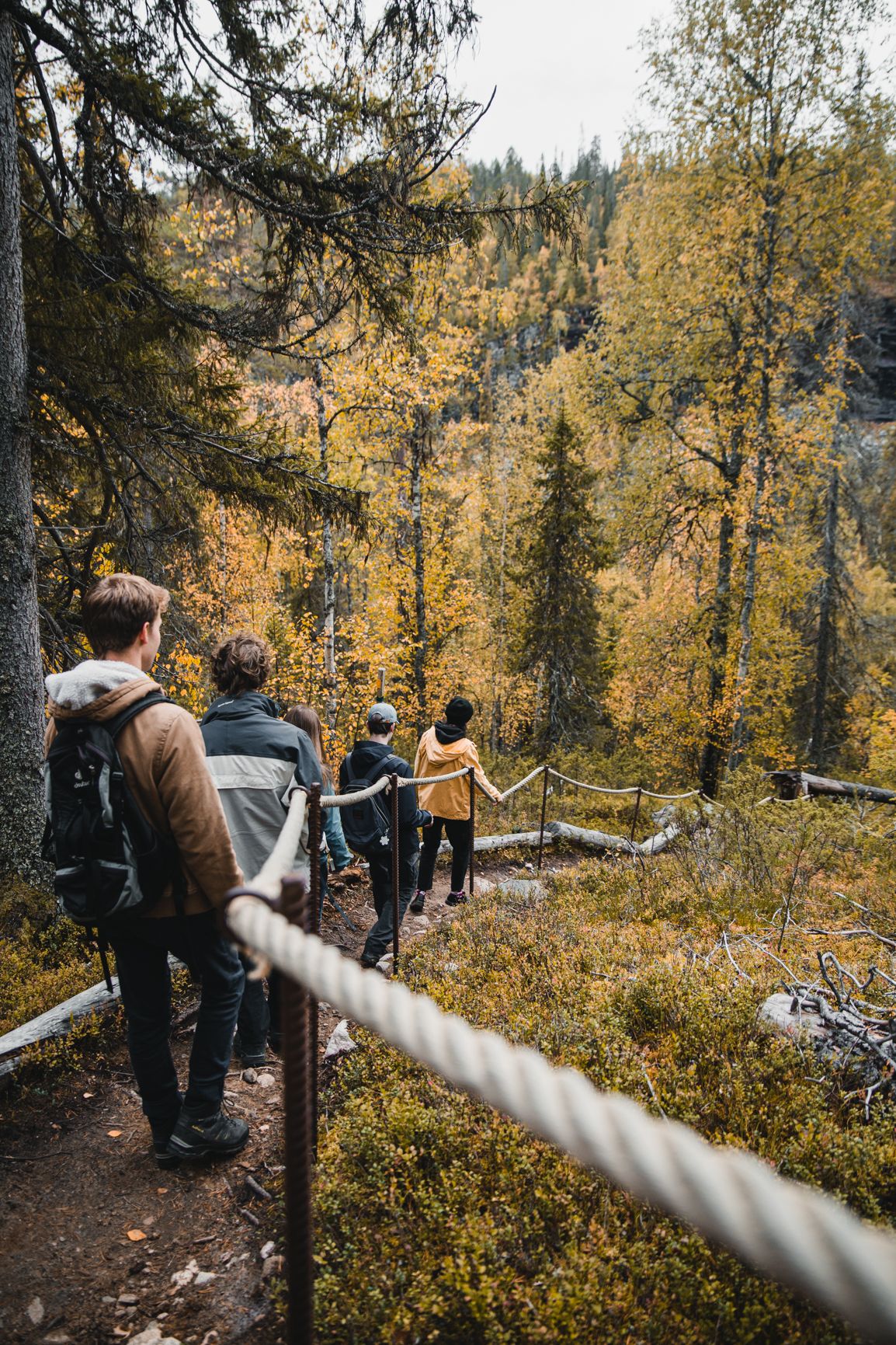marketing/ branding photo for small scale  tour operator in Rovaniemi. Korouoma in autumn.