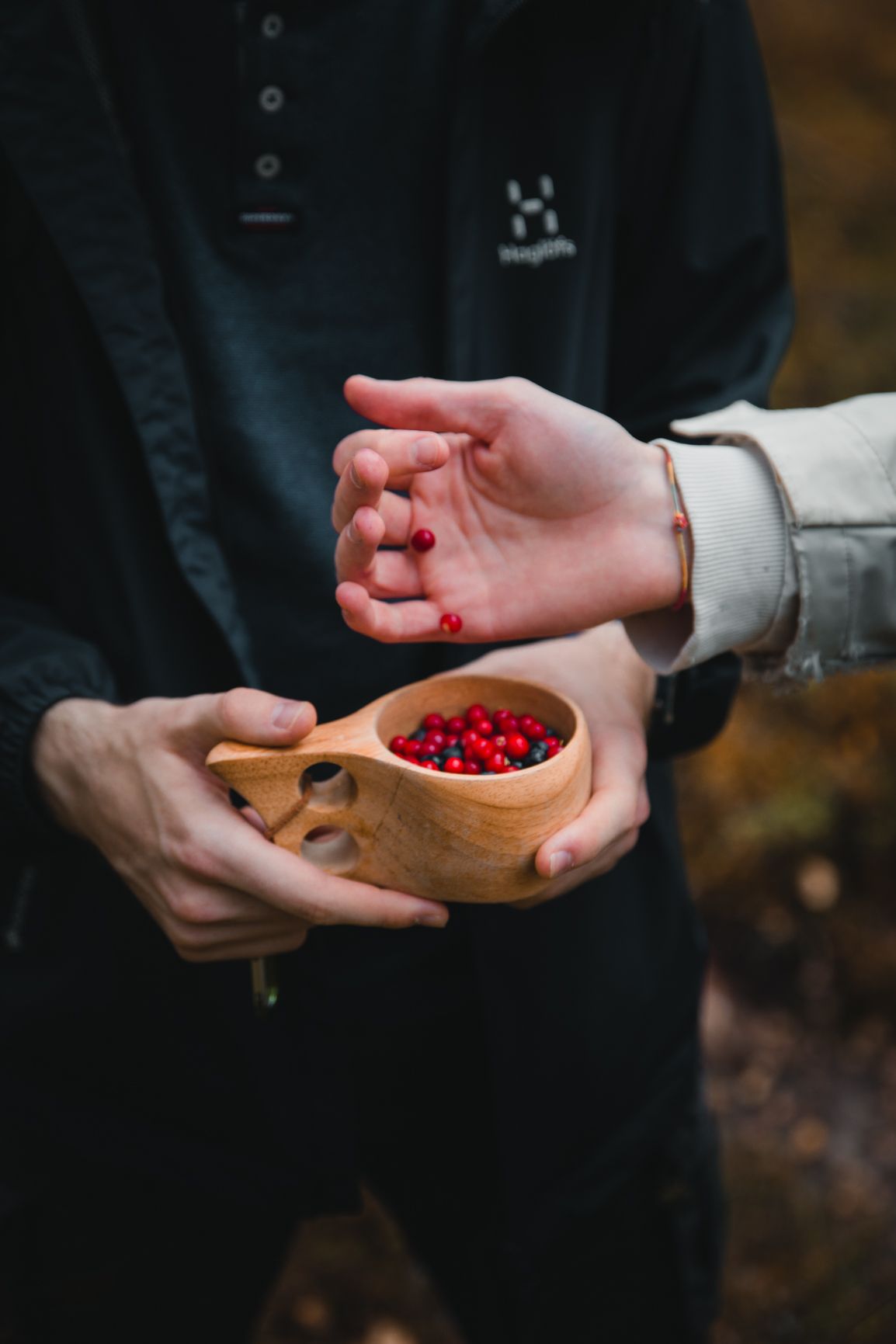 marketing/ branding photo for small scale  tour operator in Rovaniemi. Korouoma in autumn.
