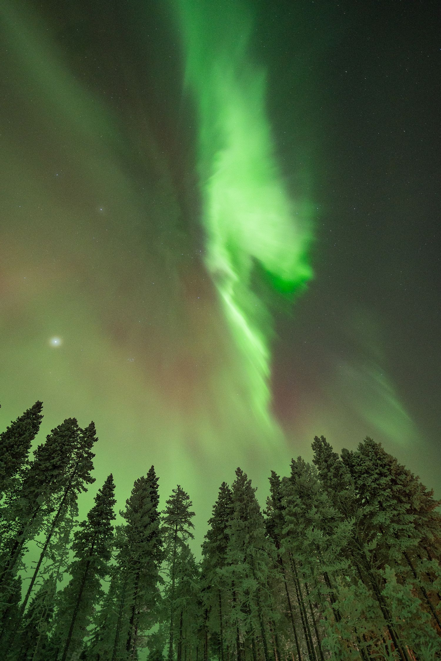 Northern Lights in Finnish Lapland
