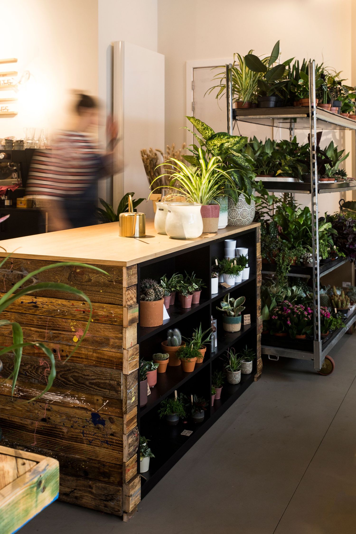 Interior shot for florist in Belgium