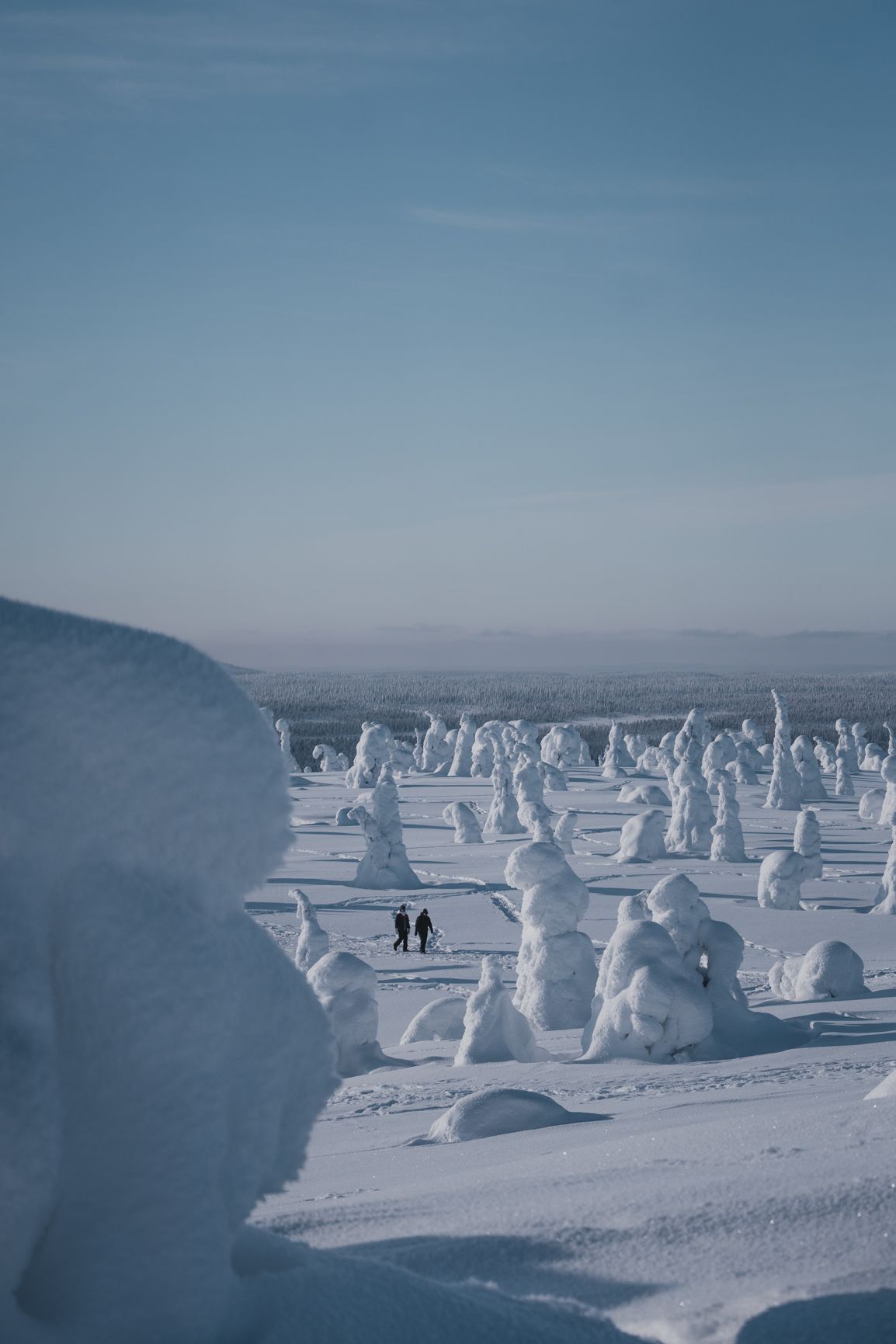 Riisitunturi national park during winter