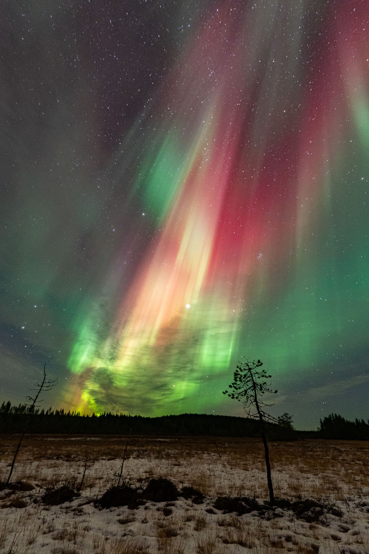 Northern Lights in Finnish Lapland