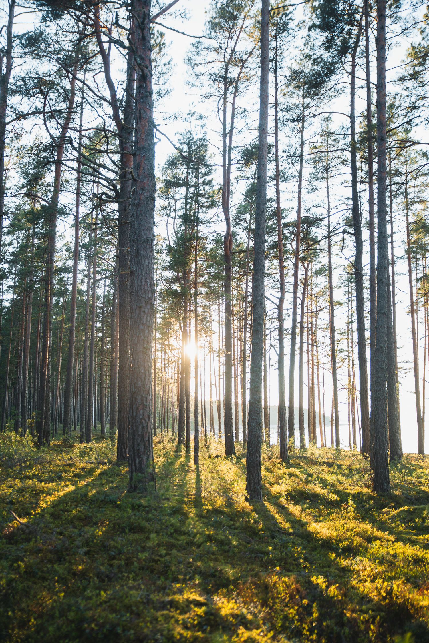 marketing/ branding photo for VisitKotka in Southern Finland during Summer