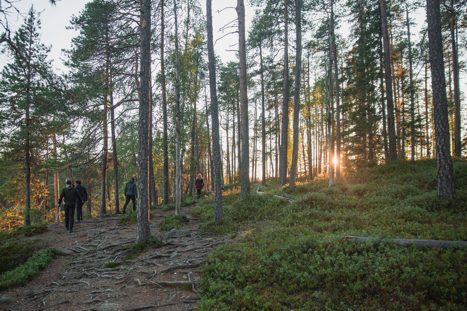 marketing/ branding photo for Belgian travel agency offering tours in Finland