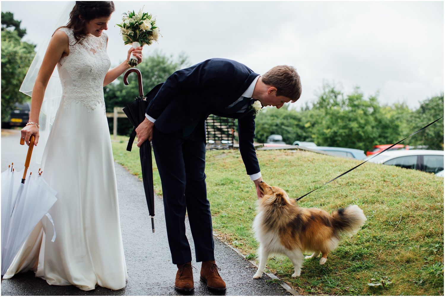 A fluffy dog walks with a couple in formal attire on a grassy hillside.