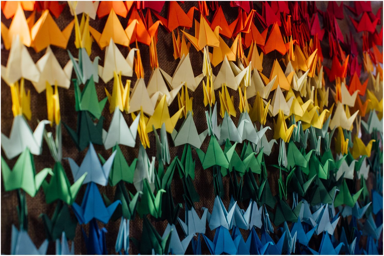 Colorful paper origami butterfly art installation in rainbow gradient pattern.