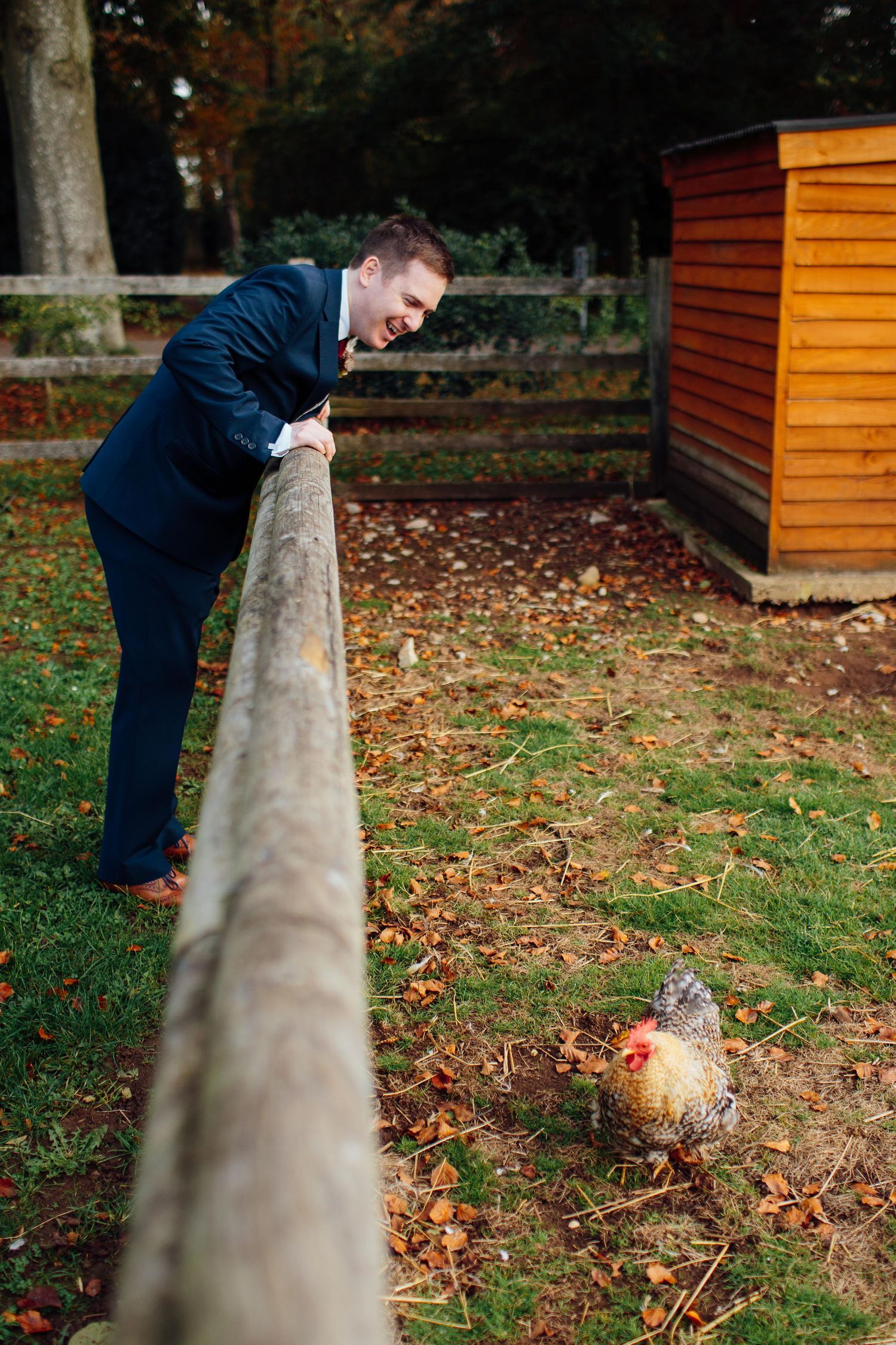 A sequence of photos showing someone playfully peeking around a wooden fence post in an autumn garden setting.