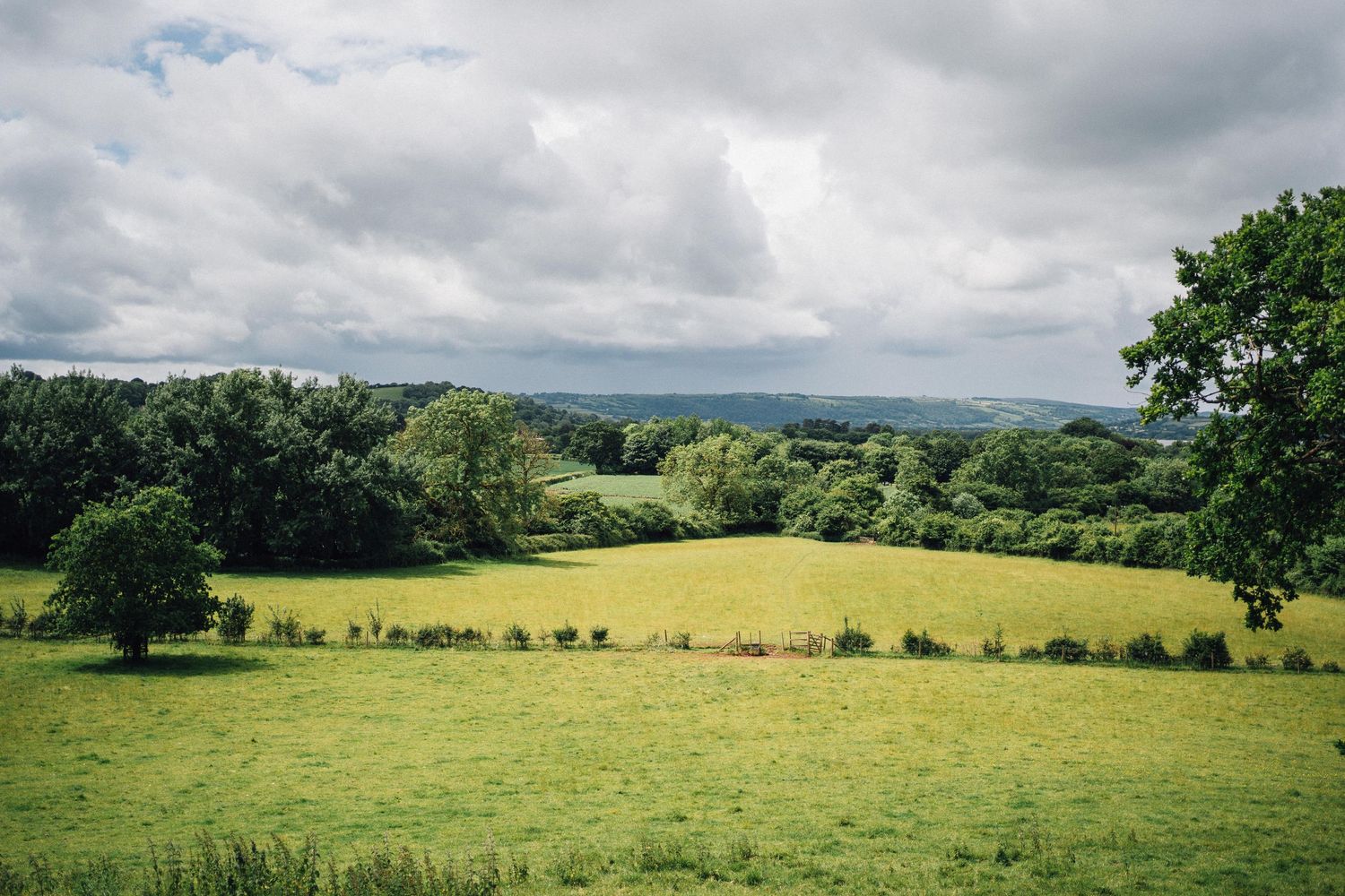 Panoramic view of rolling green countryside hills and meadows under cloudy skies.