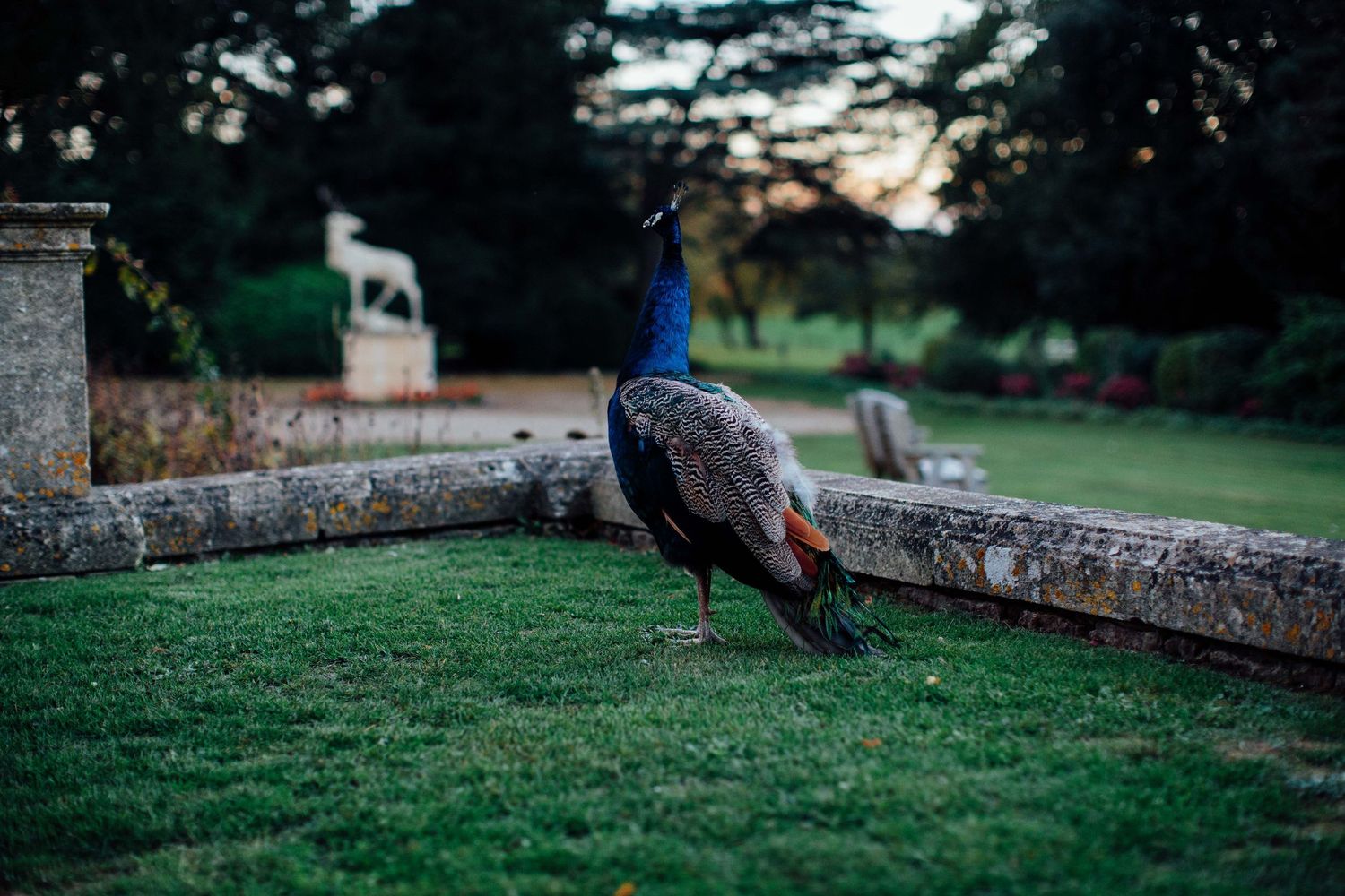 Panoramic view of a peaceful garden setting at dusk with stone walls and lush green grass.