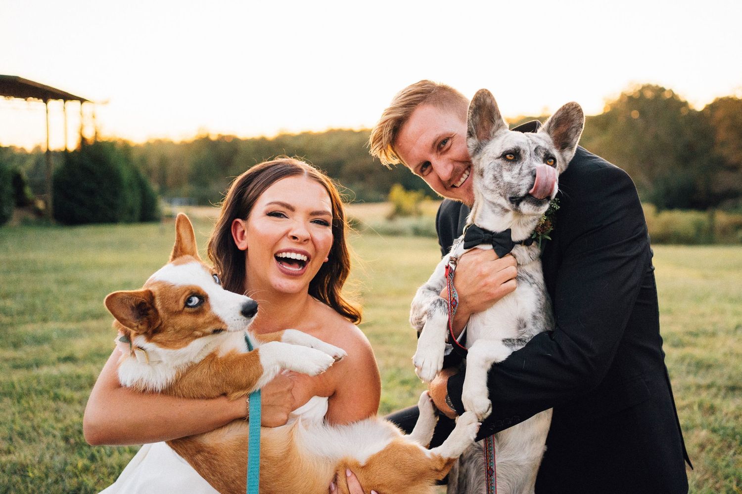 A couple shares joyful moments with their dogs during a sunset photoshoot in a grassy field.