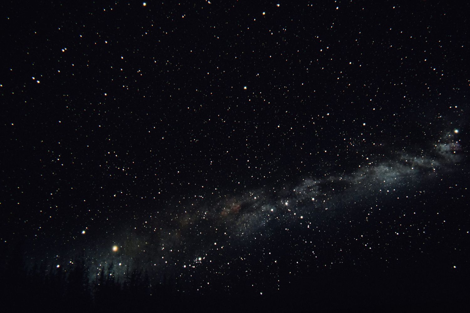 Night sky with Milky Way galaxy stretching across star-filled dark space above silhouetted treetops.