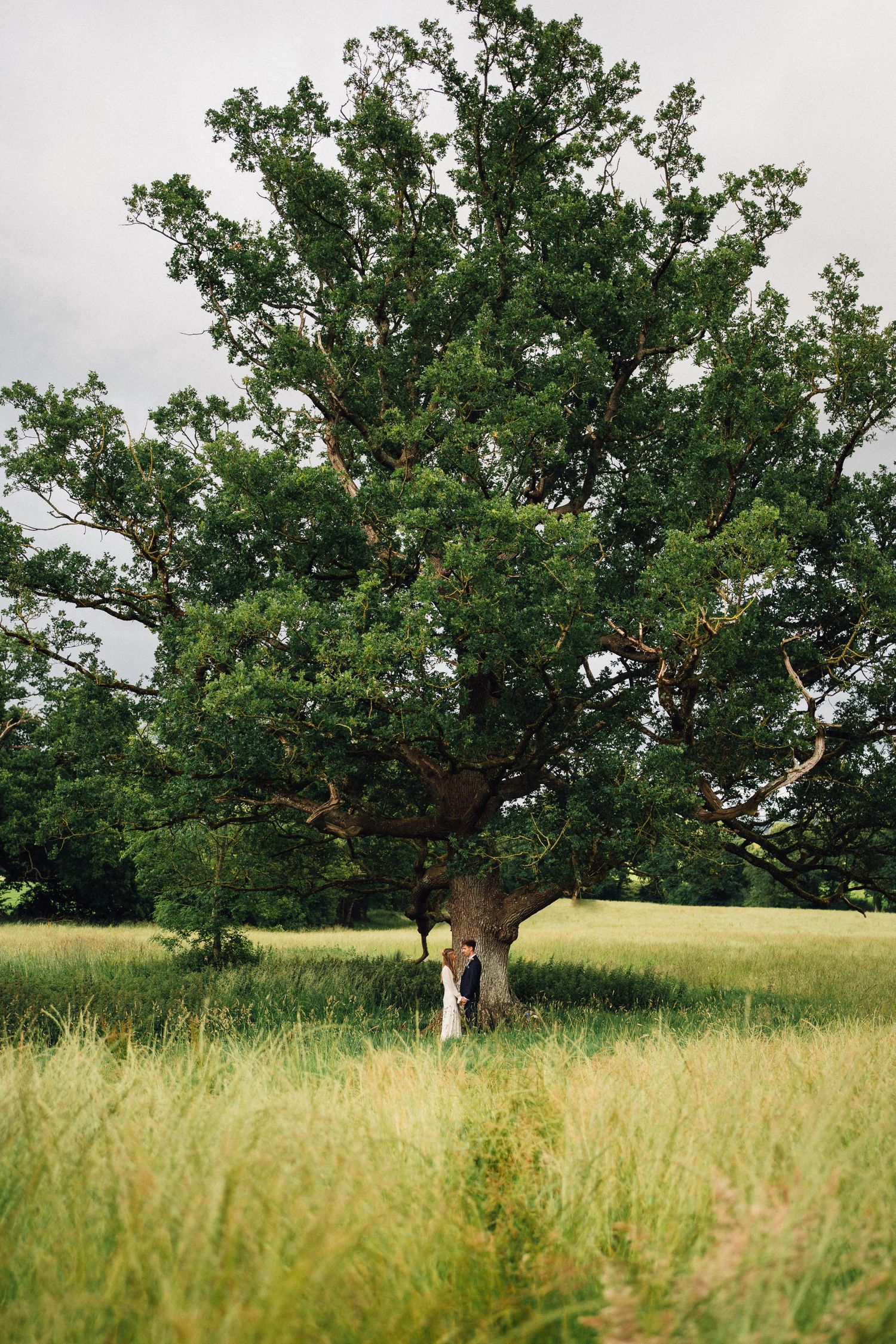 Photo of couple holding each other under a tree in Frome, Somerset Noah's Pond wedding venue