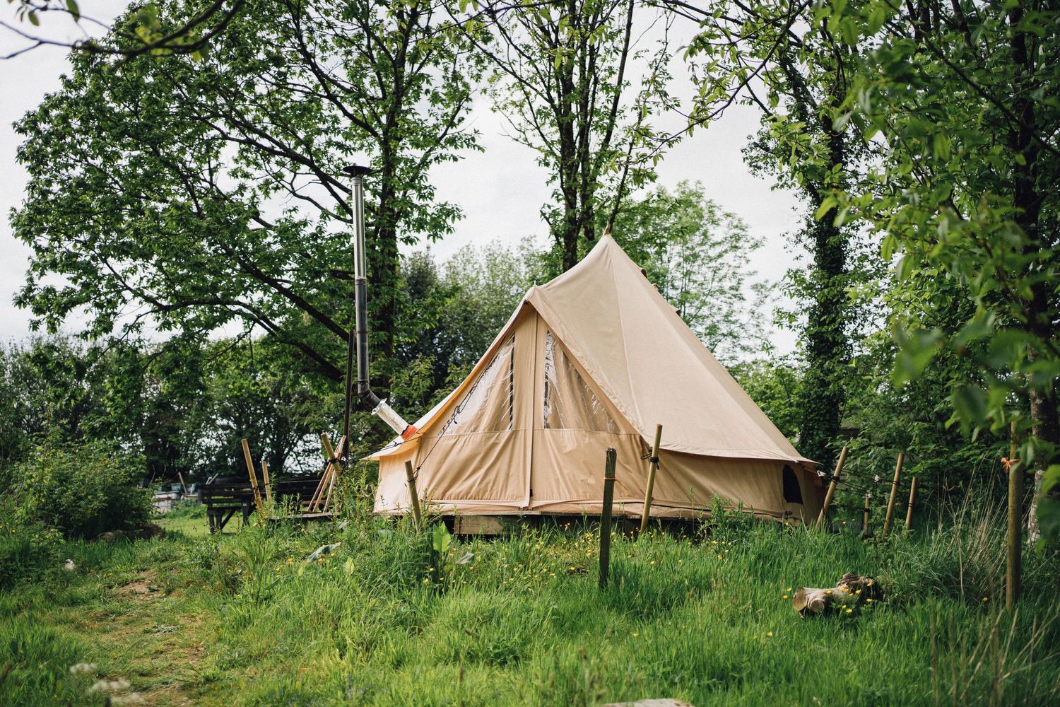 Bell tents set up in a green field surrounded by trees for glamping.