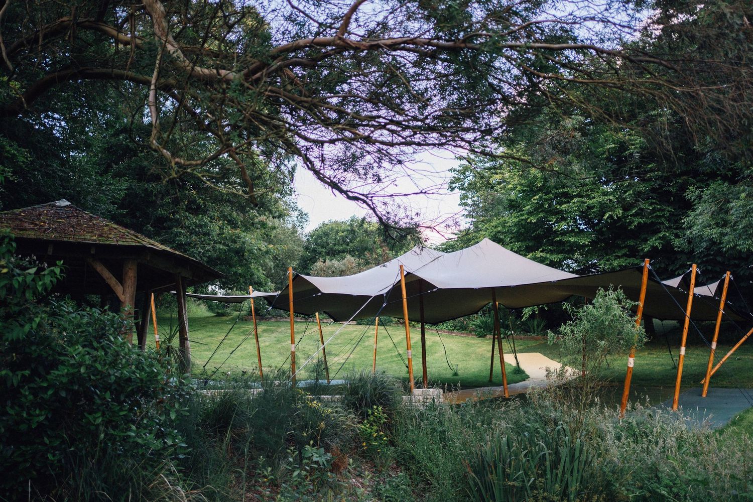 Row of white event tents set up in a grassy field surrounded by trees.