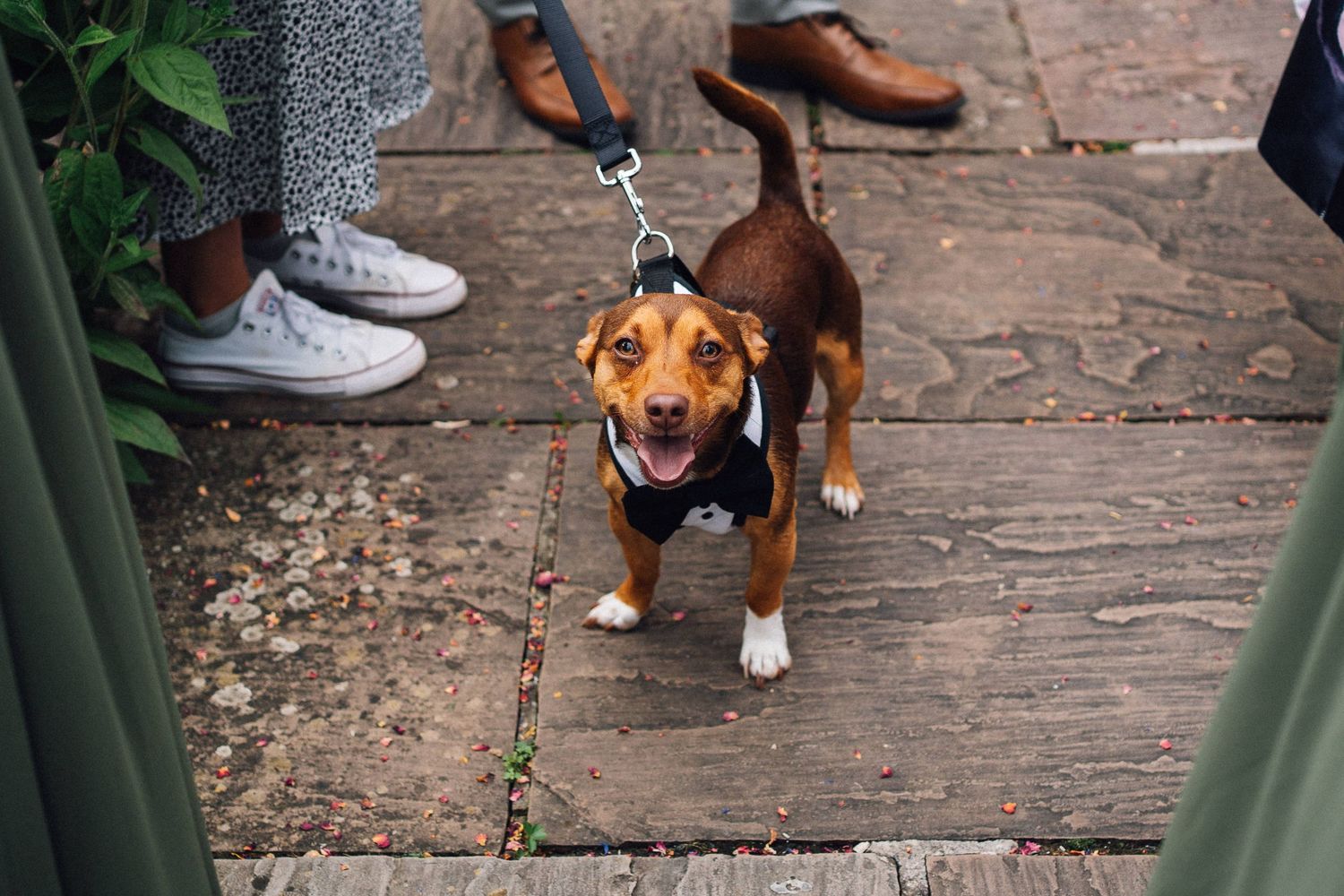 Guests' feet and a playful dog visible on stone patio during wedding reception.