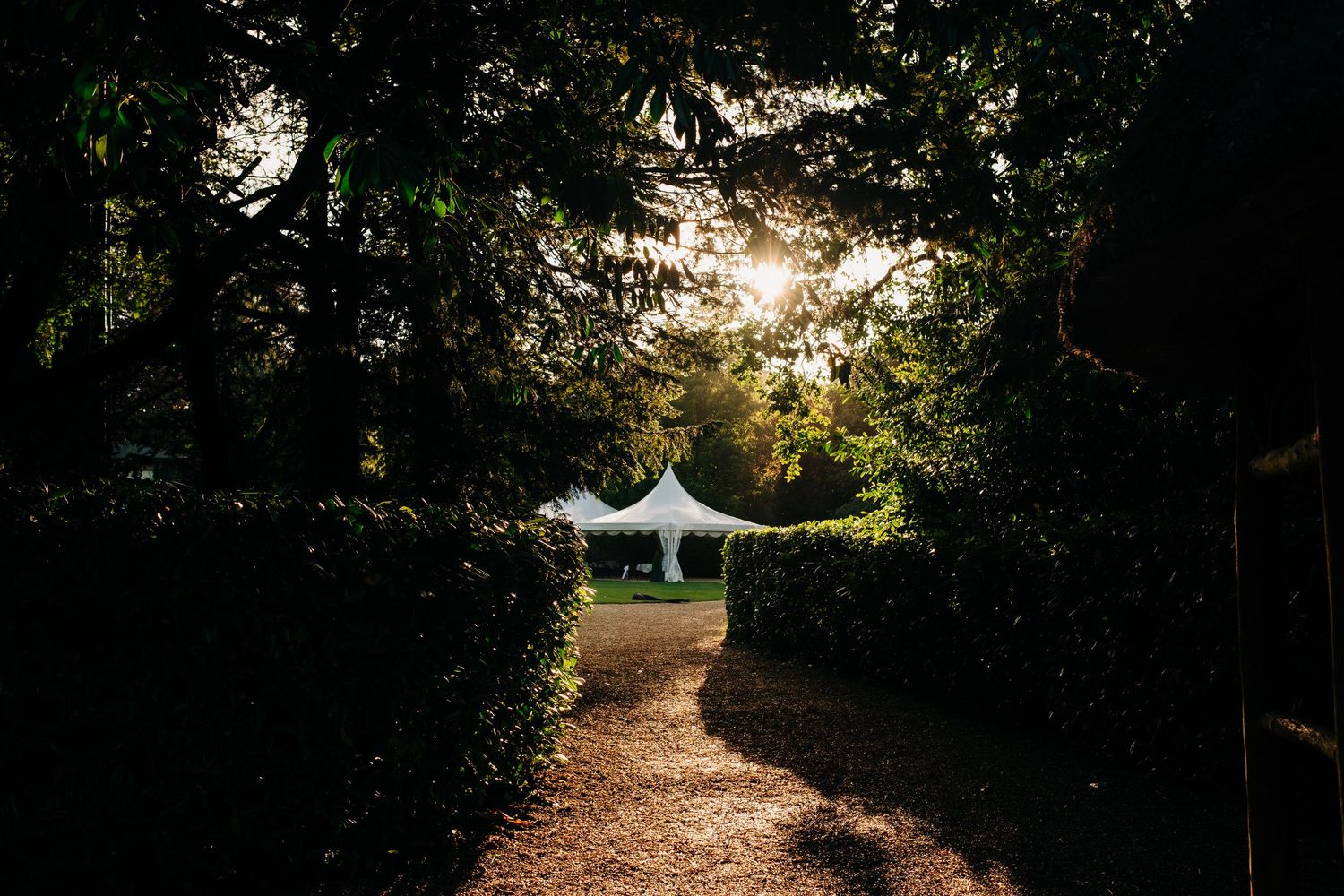 Sunlit forest path with trees creating natural shadows and dappled lighting effects.