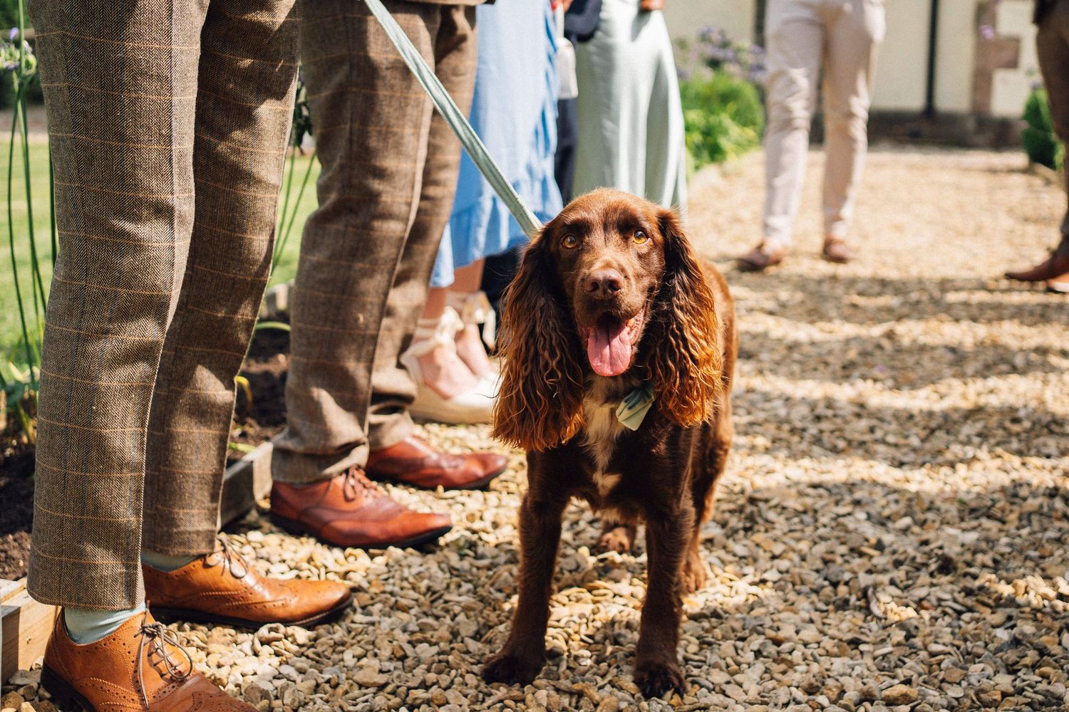 Brown leather boots and paws of a dog visible on forest ground at a wedding.