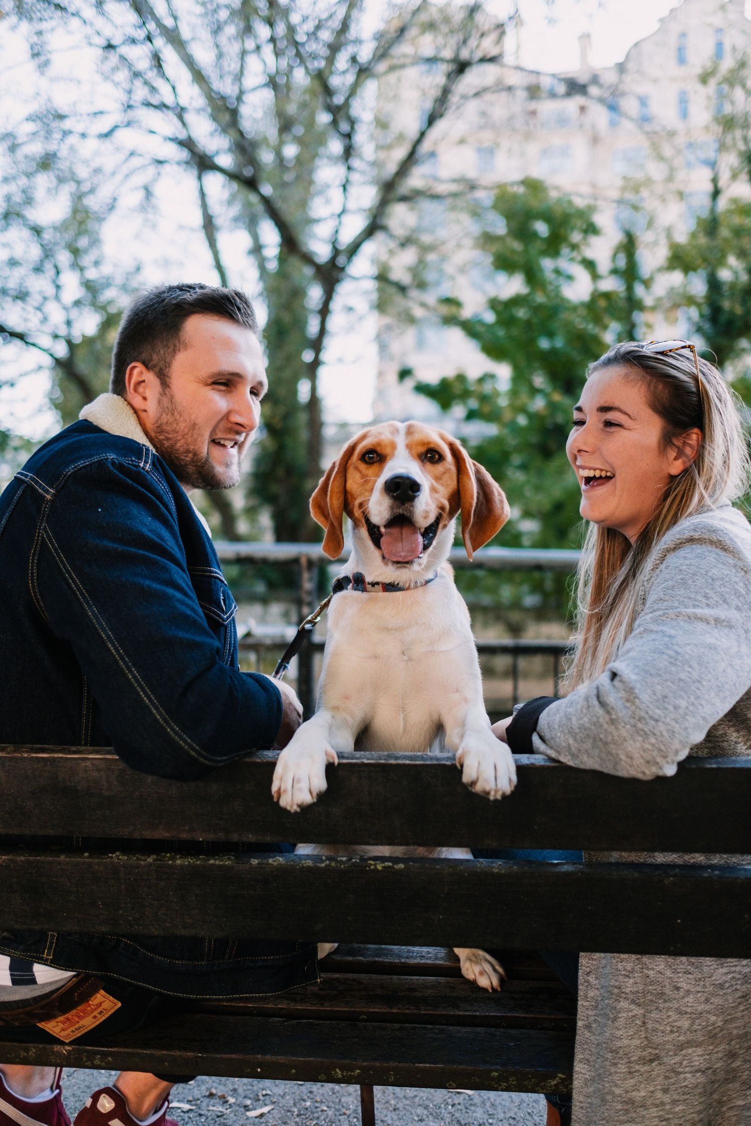 A couple and their beagle dog pose playfully on a wooden bench outdoors.