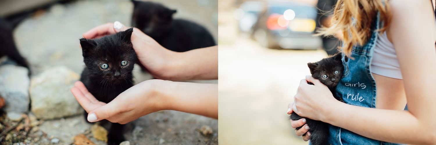 Multiple shots of hands petting and caring for a black cat outdoors.