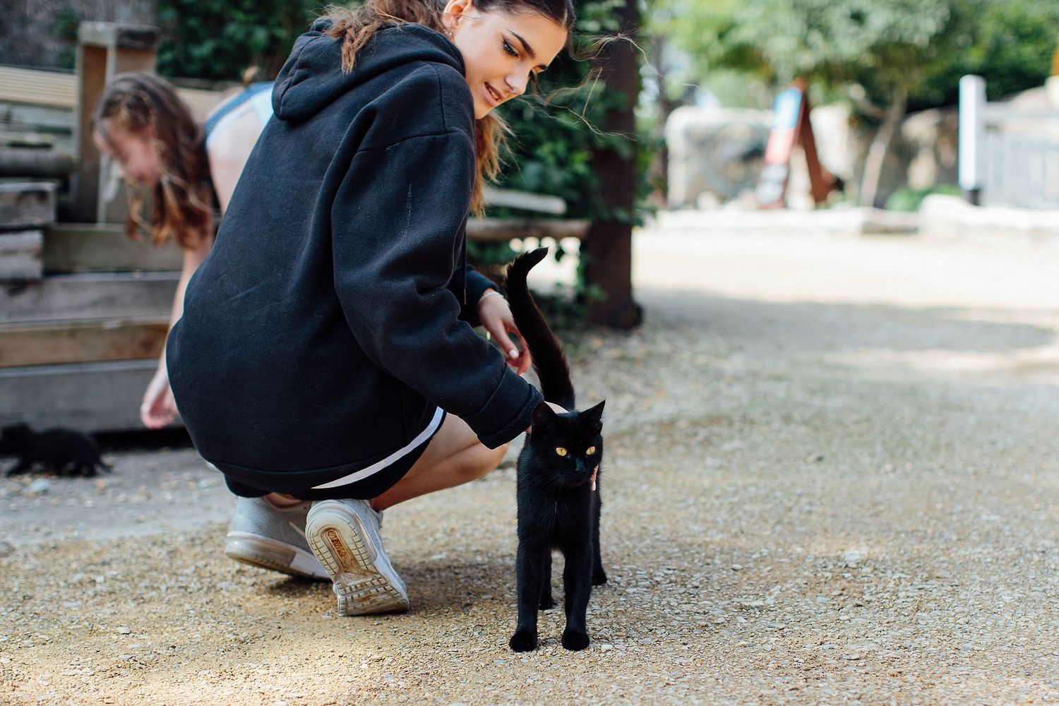 Black cat walking on gravel path while being followed by someone.