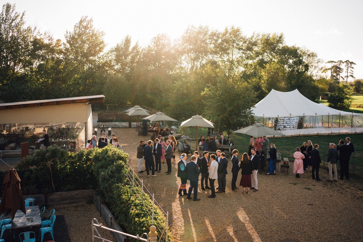 Outdoor wedding reception at sunset with white tents and guests mingling in a garden setting.