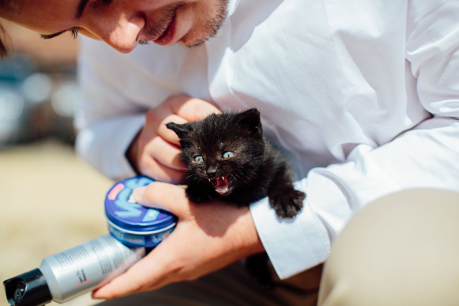 Close-up shots of veterinary professionals examining and treating a small black cat.