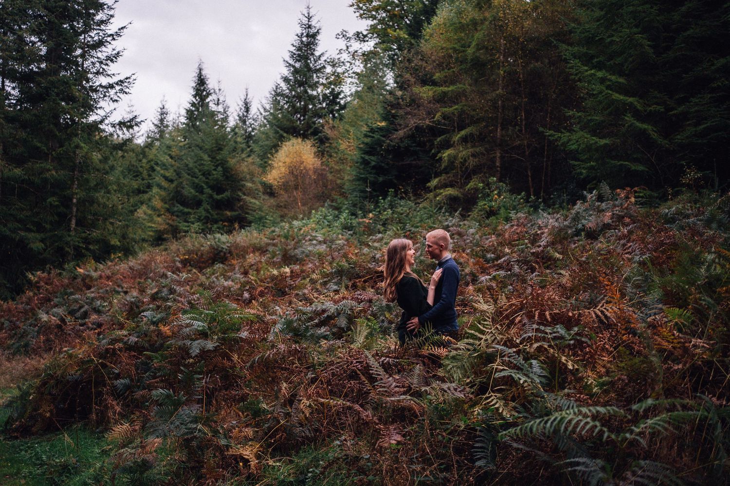 Misty forest scene with evergreen trees and autumn ferns creating a romantic backdrop.