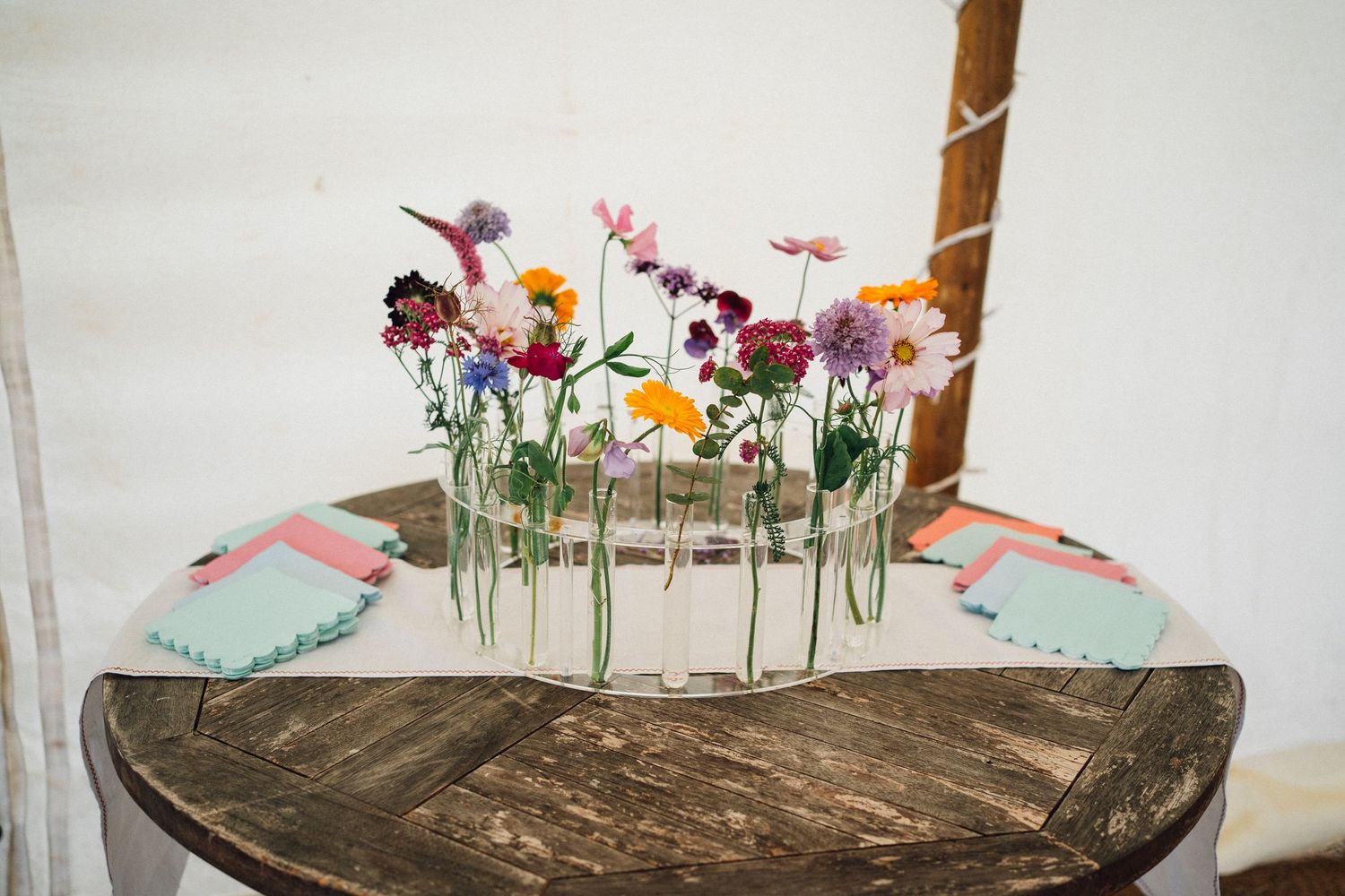 A rustic wooden bowl filled with soil and sprouting flowers against a white background.