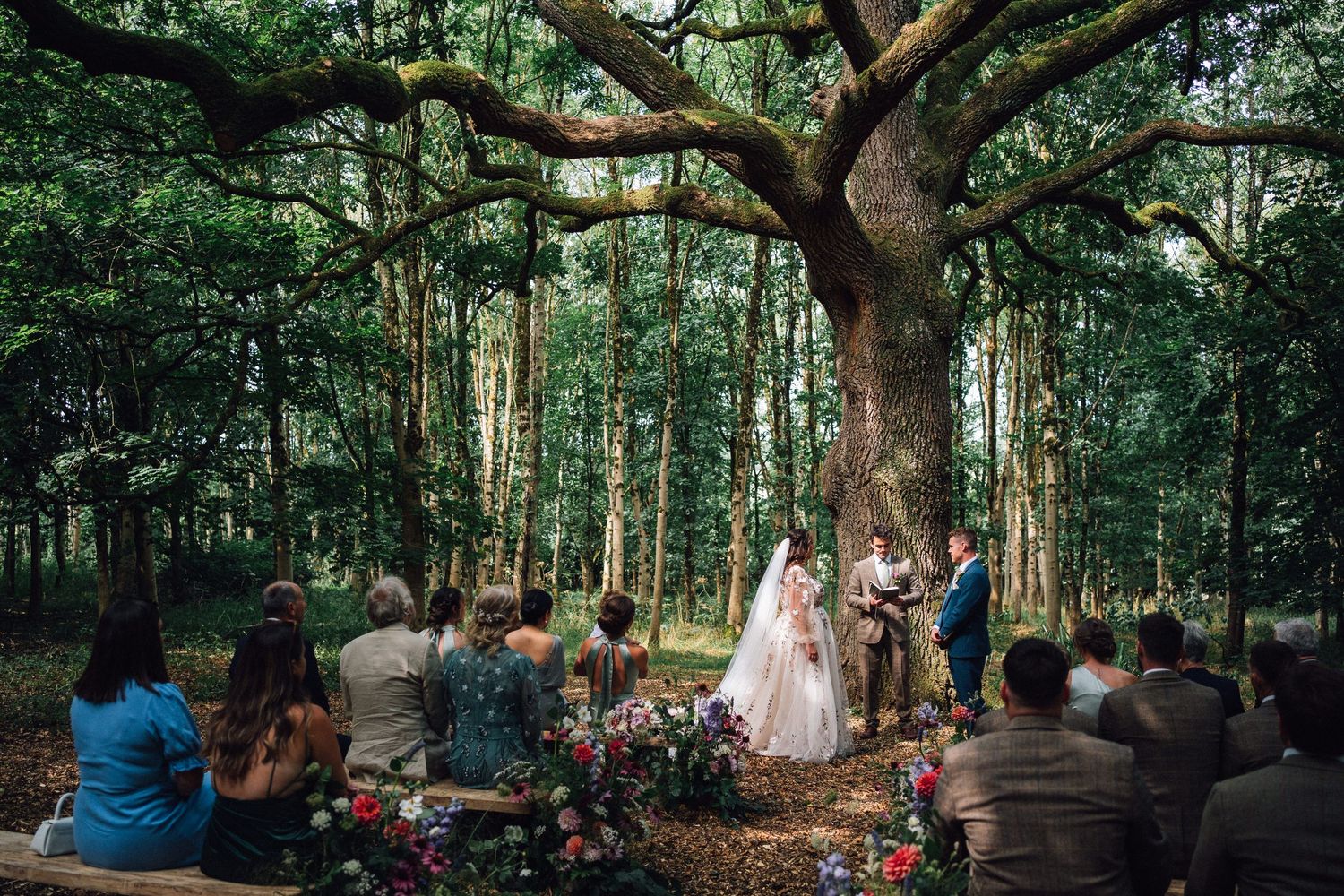 A woodland wedding ceremony setup with guests seated beneath towering trees.