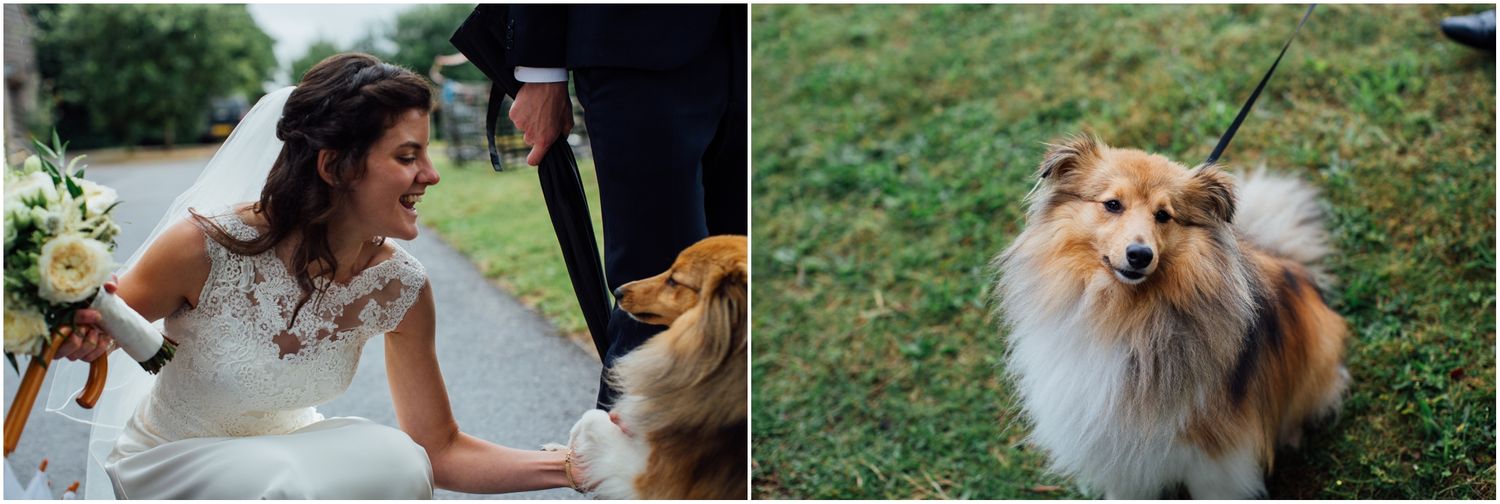 A fluffy dog interacts with people in wedding attire on a grassy hill.