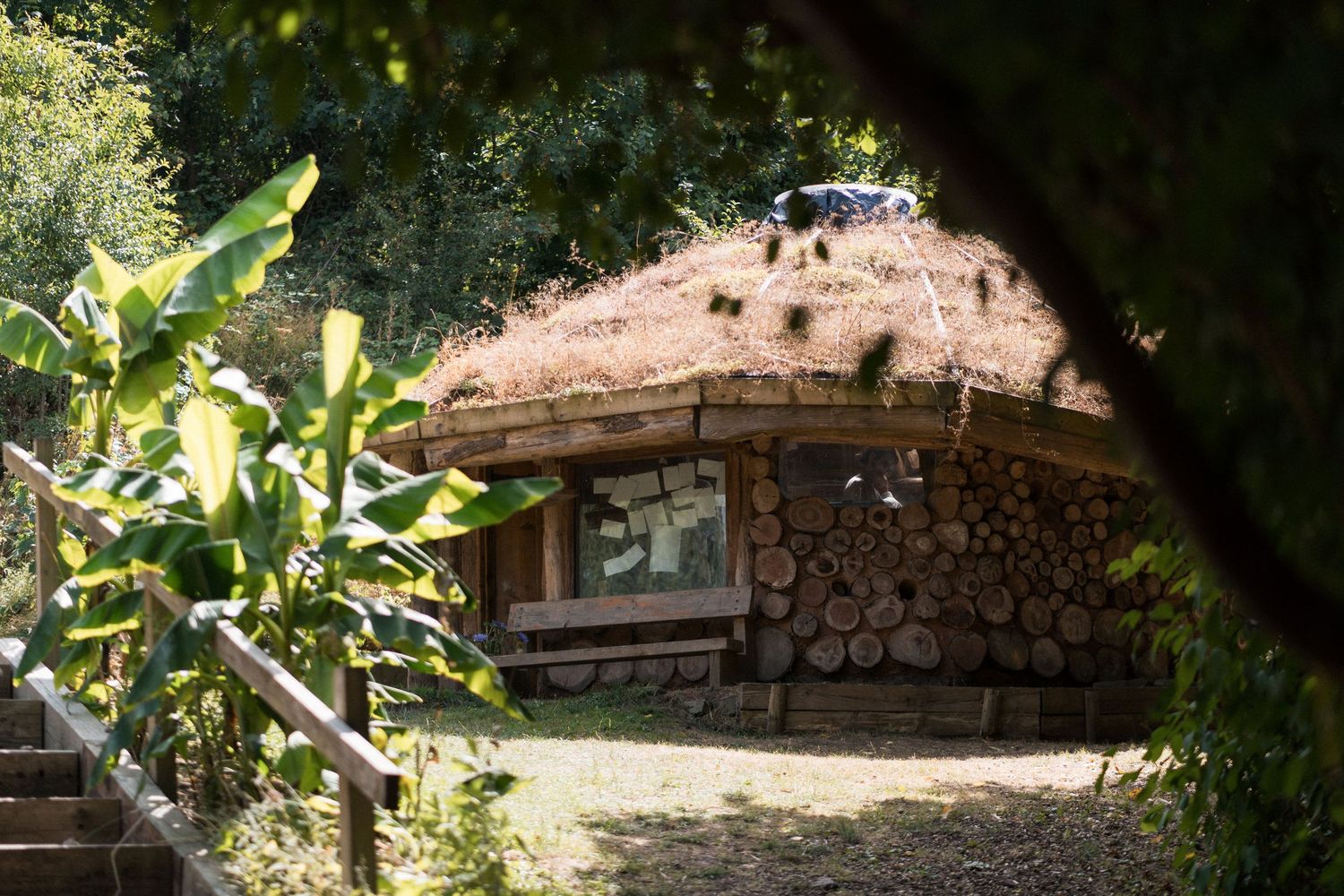 Rustic cordwood cabin with thatched roof surrounded by lush greenery and tropical plants in a natural woodland setting.