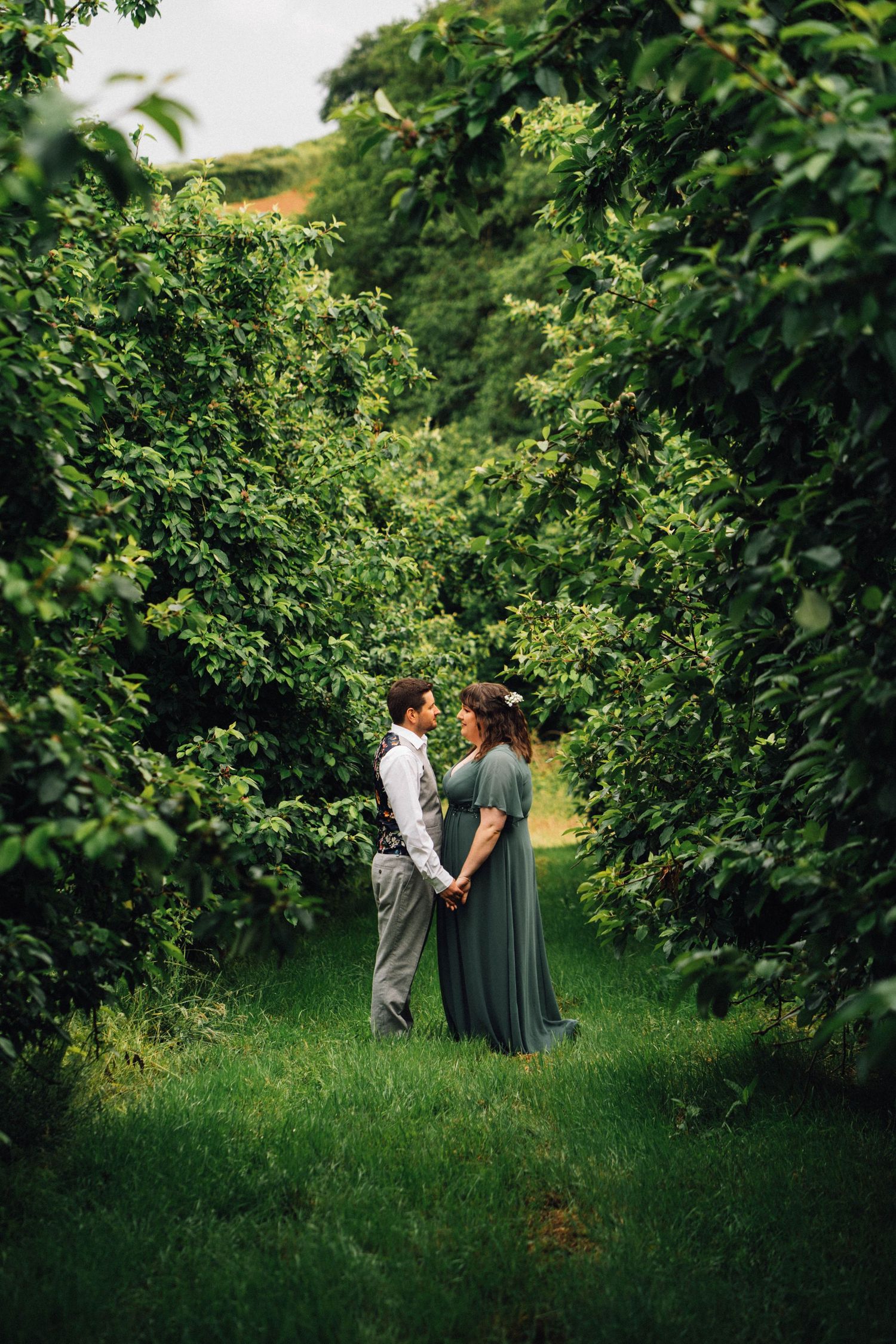 Couple walking together through a lush green orchard with rows of fruit trees on a sunny day.