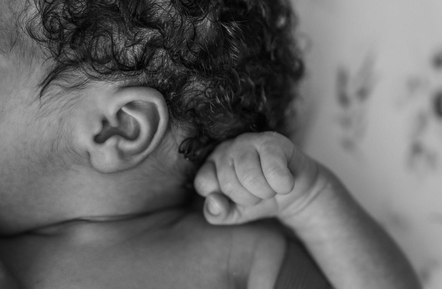 A black and white close-up photograph shows a baby's curly hair and tiny fist against a light background.