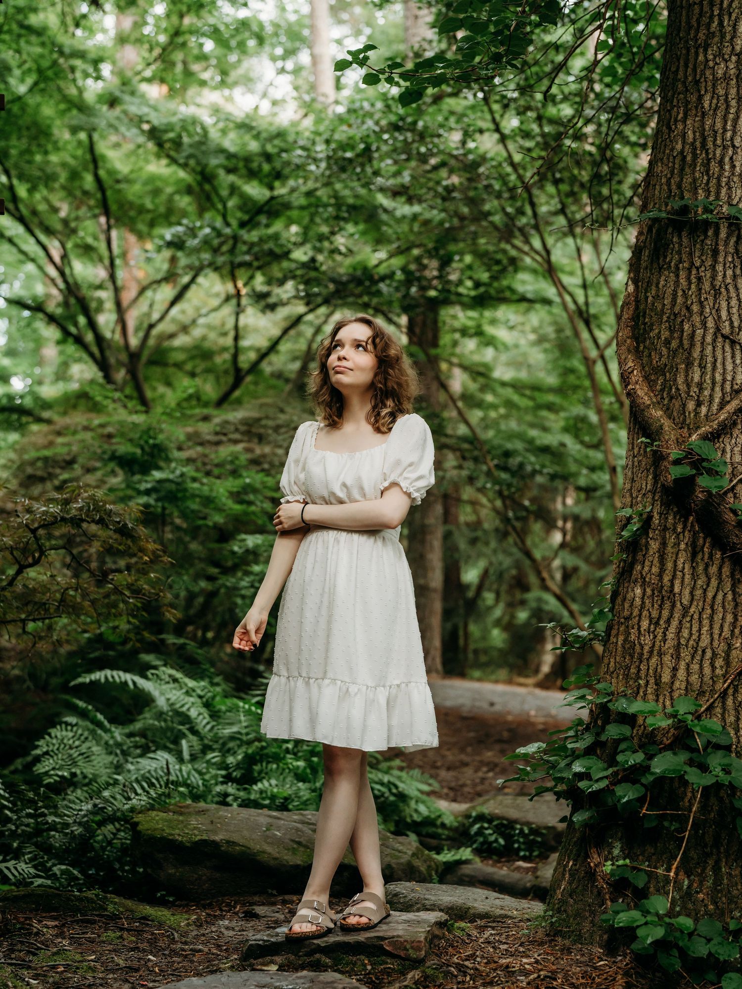 Ethereal woodland scene with a white dress-clad figure standing on a forest path amidst lush ferns and towering trees.