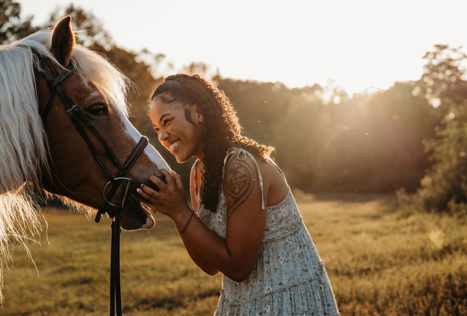 A person in a blue dress pets a brown horse in a sunlit meadow during golden hour.