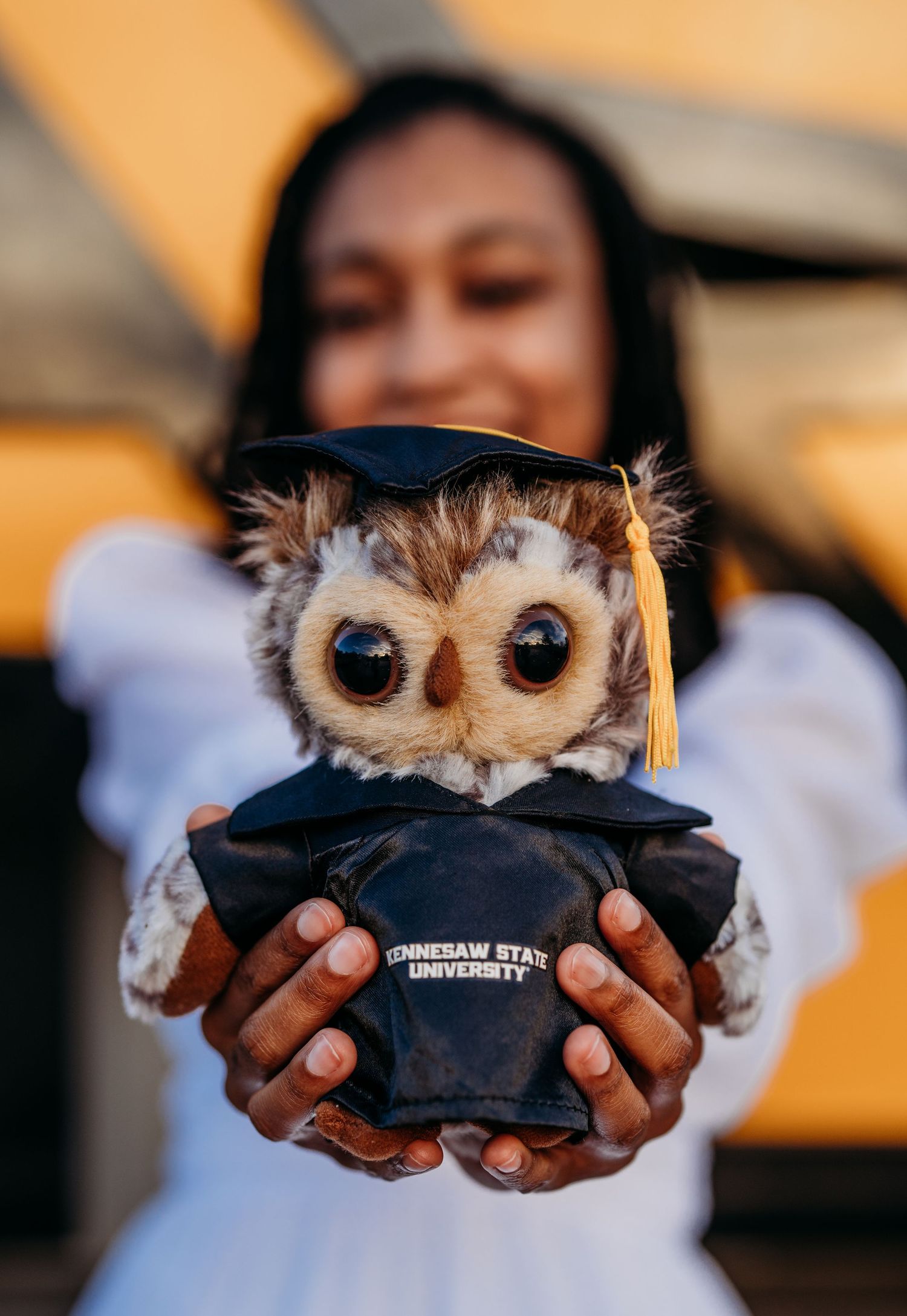 A small owl wearing a graduation cap is held gently in hands against a warm sunset background.