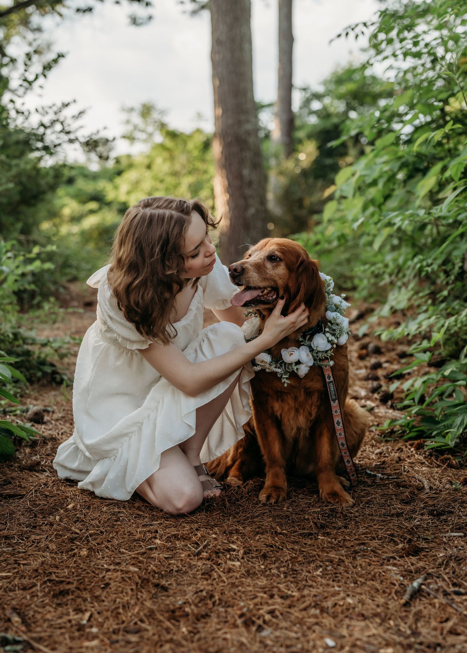 A brown dog wearing a floral collar sits on a forest path while being petted in a serene woodland setting.