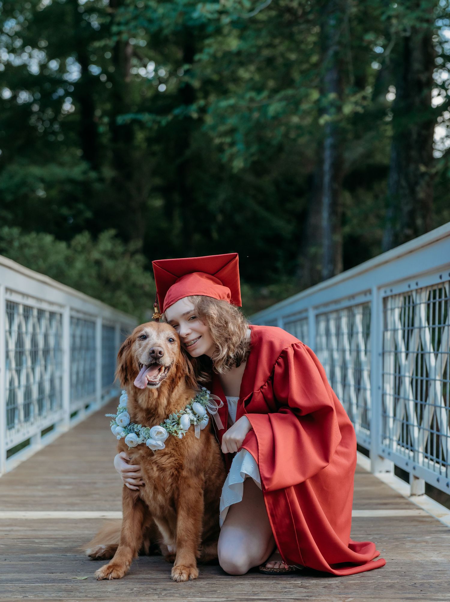A golden retriever puppy poses with graduation cap and gown on a wooden bridge in a series of adorable photos.