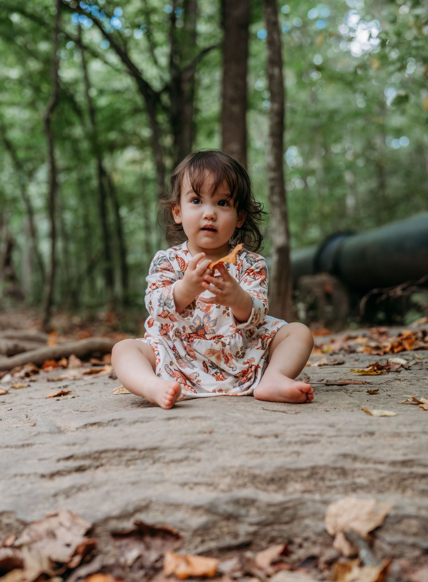 Small child in floral dress sits on sandy forest ground surrounded by fallen leaves and green trees.