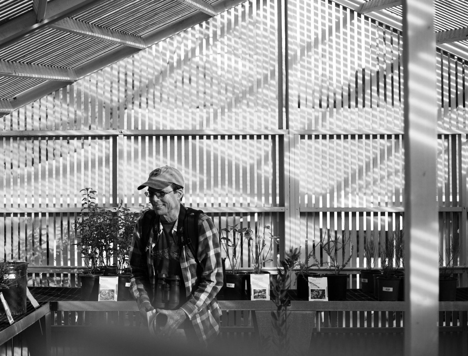 documentary style photography