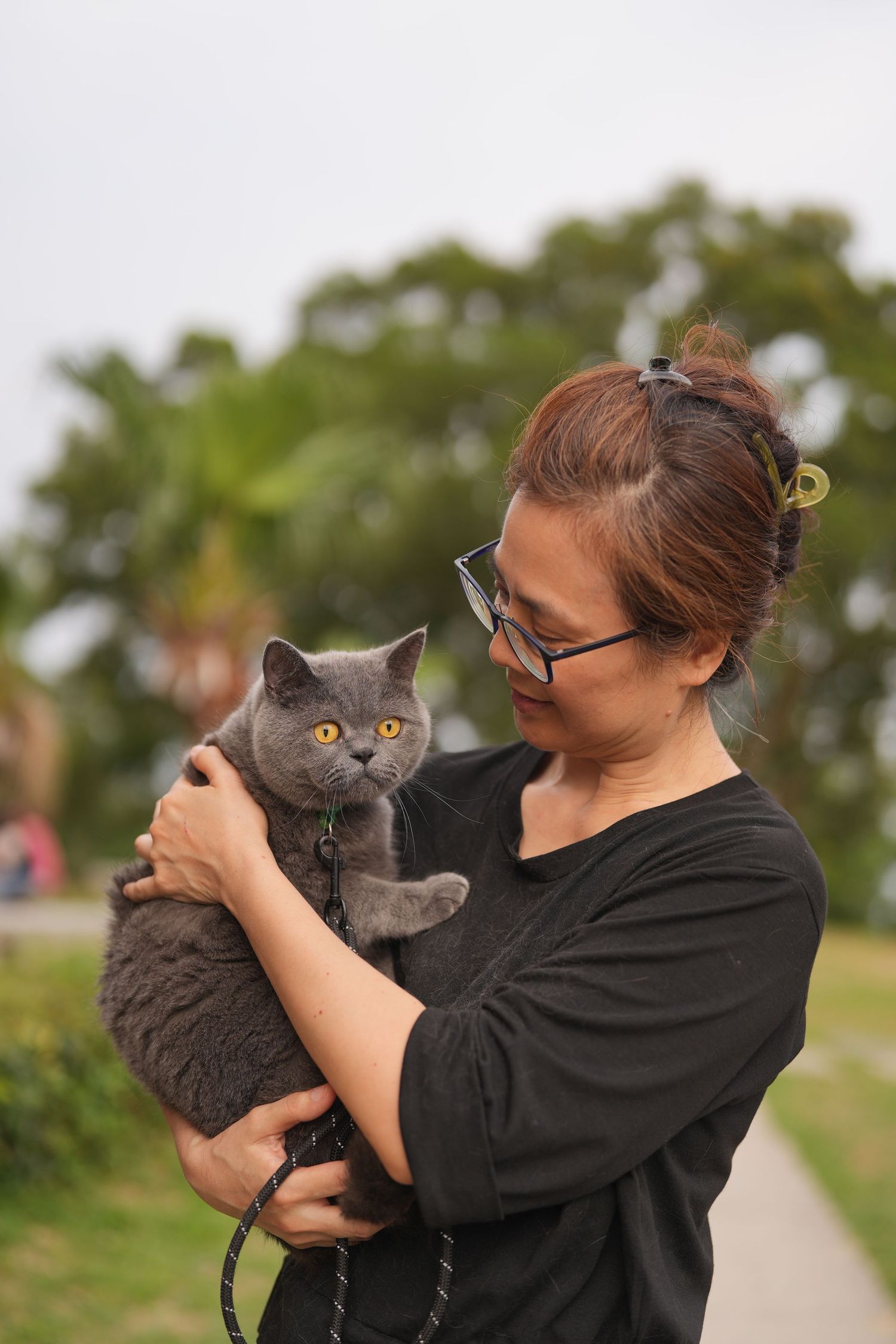 A person wearing glasses in a black shirt holds a fluffy grey British Shorthair cat outdoors on a pathway.