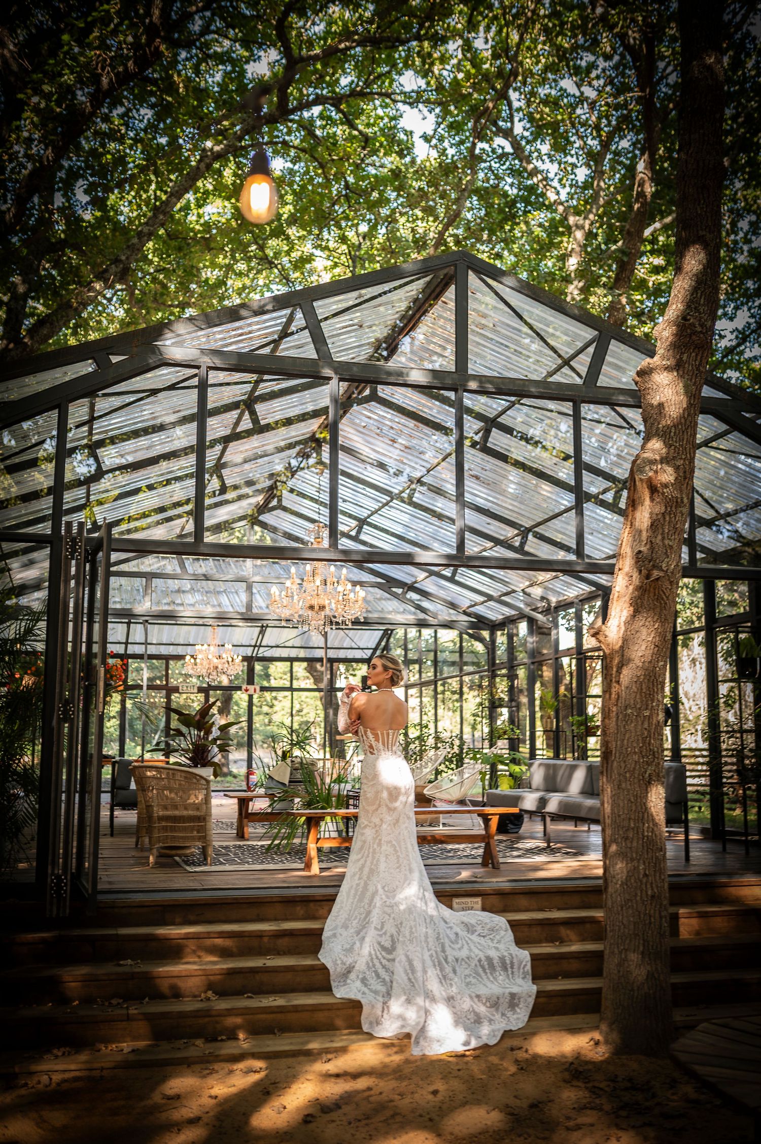 Clear tent wedding venue with elegant chandeliers and natural trees growing through the glass ceiling creates magical ambiance.