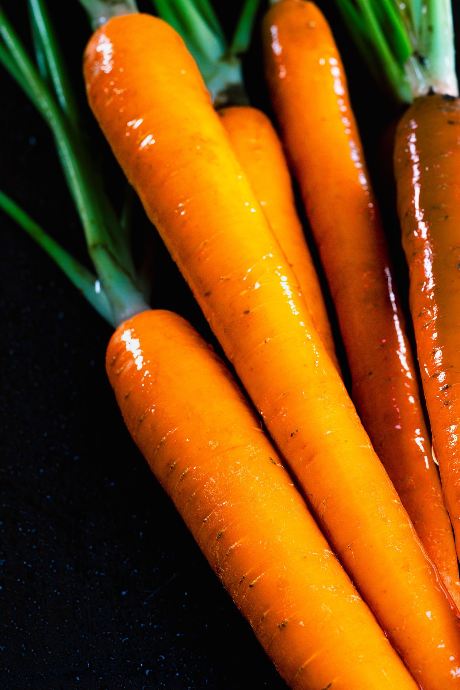 Fresh organic carrots with green tops arranged in a row on dark background.