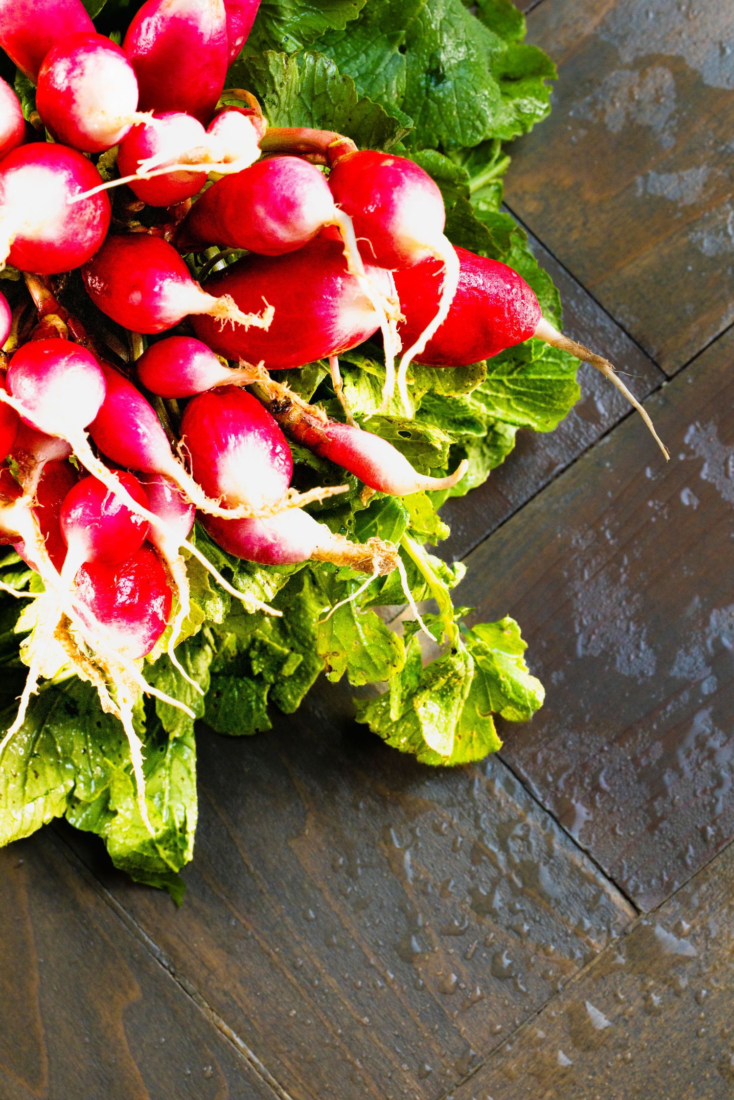 Fresh red radishes with green leaves arranged on dark wooden background.