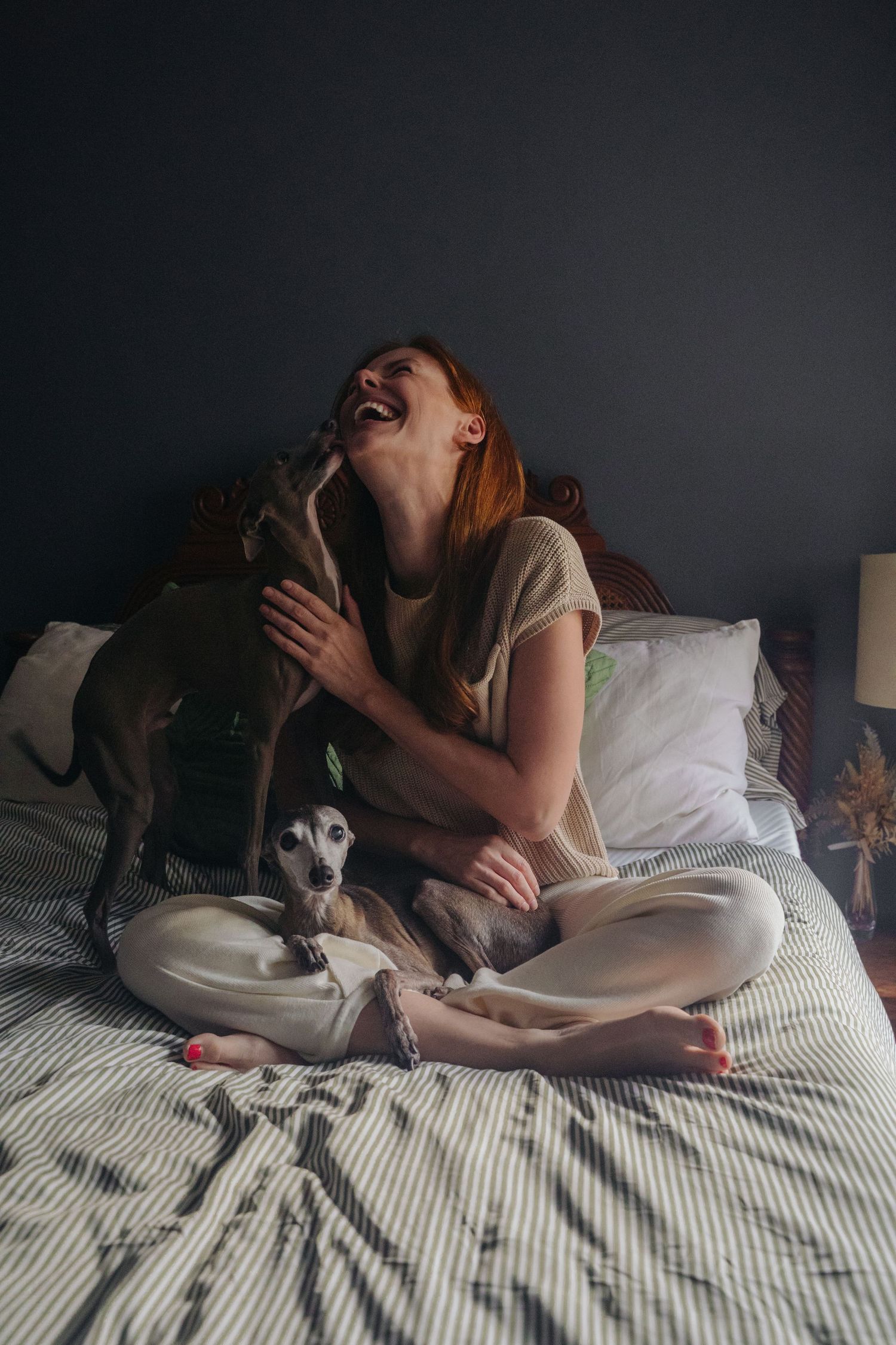 Woman and Italian Greyhound sharing loving cuddles on striped bedding in dark bedroom.