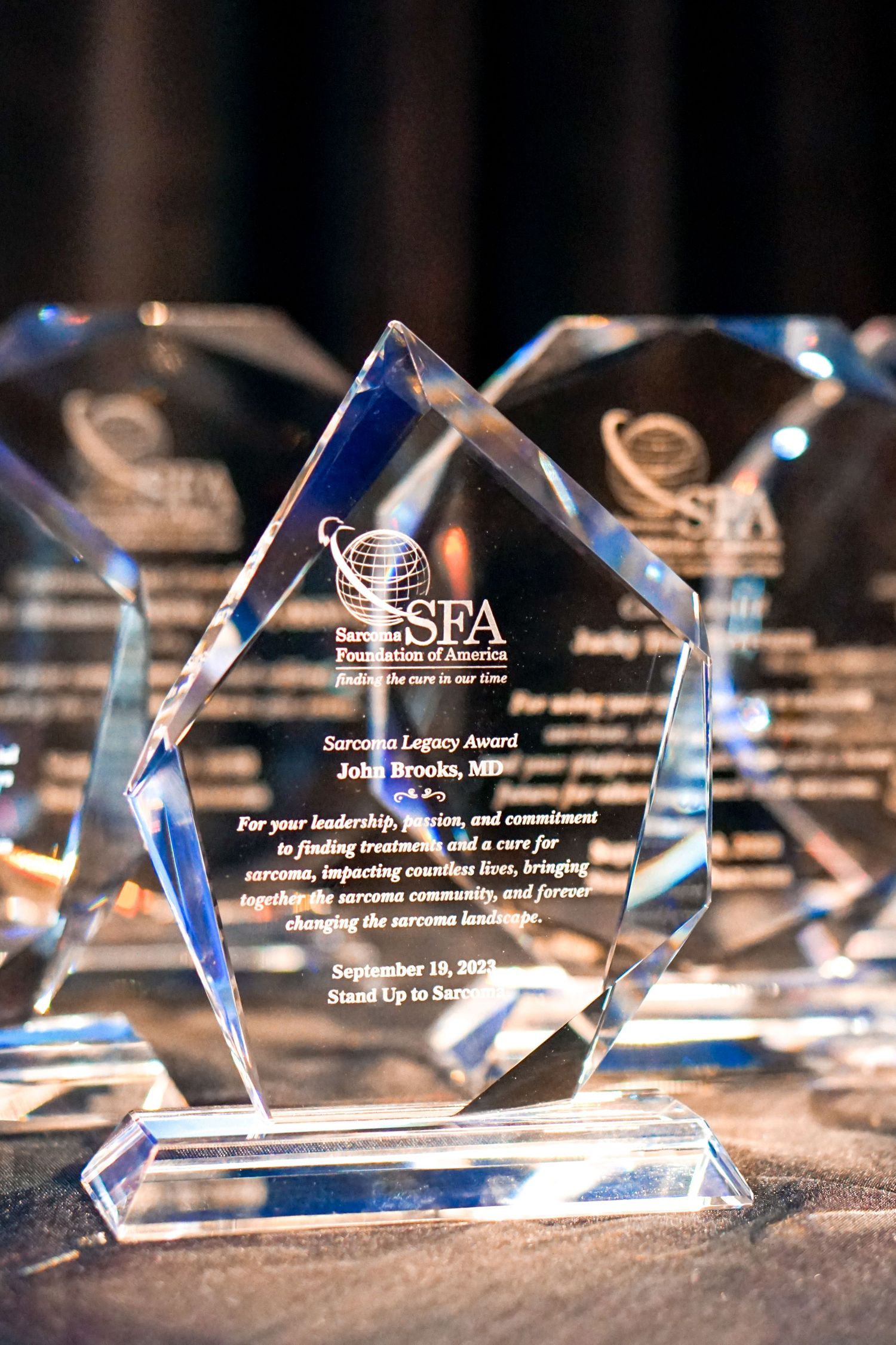 Row of crystal ESFA awards displayed on a dark surface with dramatic lighting.