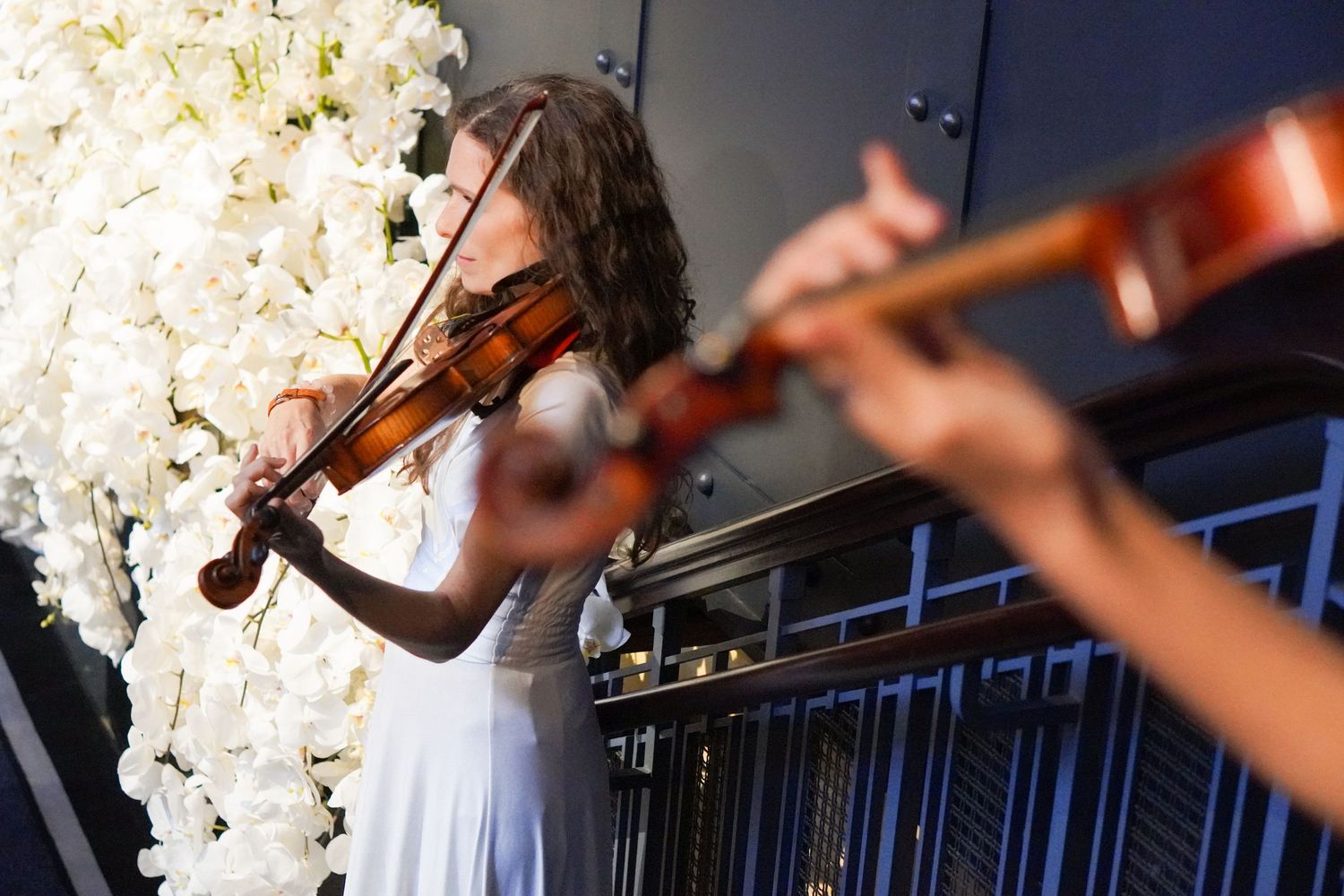 Classical musicians performing with violins against a backdrop of white flowers.